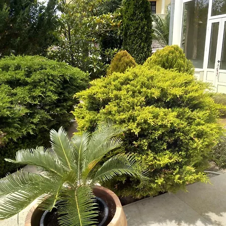 Gregovica Apartment *