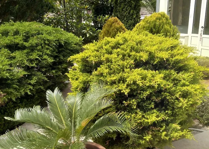 Gregovica Apartamento *