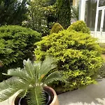 Gregovica Apartment *