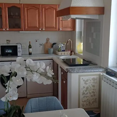 Gregovica Apartment Pula